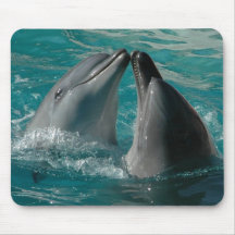 Playful dolphins mousepads