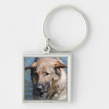 Playful German Shepherd Keychain