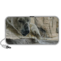 Playful Polar Bear Speakers