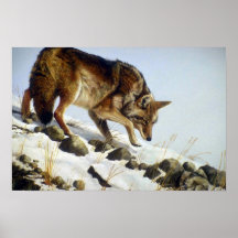 Playing possum, Coyote Posters