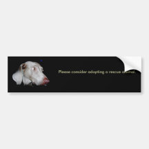 Please consider adopting a rescue ani... bumper stickers