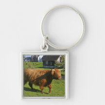 Plockton, Scotland. Hairy Coooo's (cows) doing Keychain
