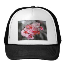 Plum Blossoms & Snow Trucker Hats