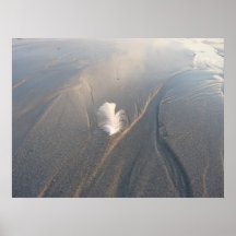 plume océan posters