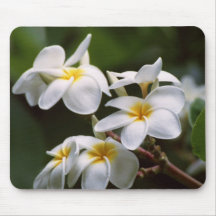 Plumeria Flower Mouse Pads