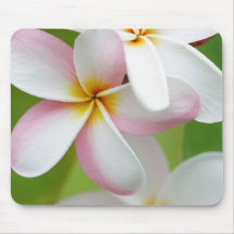 Plumeria Frangipani Hawaii Flower Customized Blank Mousepad