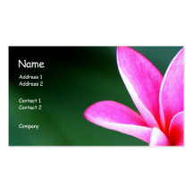 Plumeria Profile Card Business Card Templates