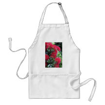 Pohutukawa tree flowering apron