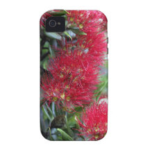Pohutukawa tree flowering Case-Mate iPhone 4 covers