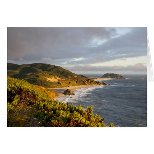 Poin Lobos National Park Landscape Greeting Cards