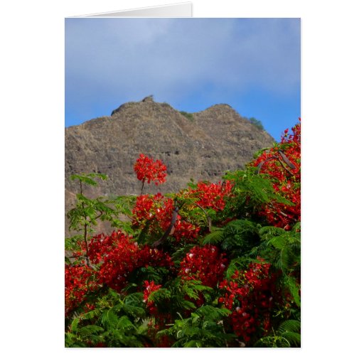Poinciana Tree and Diamond Head Card