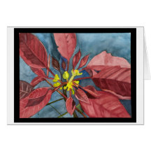 Poinsettia Christmas Card