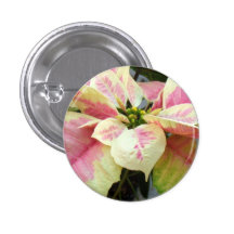 Poinsettia Pink Cream