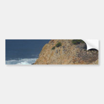 Point Lobos Bumper Sticker