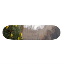 Point Reyes National Seashore Skate Deck