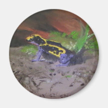 Poison Dart Frog # 3 Fridge Magnet