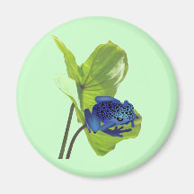 Poison Dart Frog Fridge Magnet