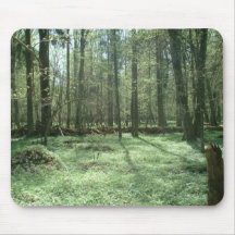 Poland, Białowieża National Park Mouse Pads