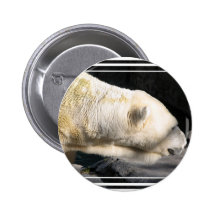 Polar Bear Button