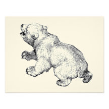 POLAR BEAR INVITATION