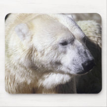 Polar Bear Mouse Pads
