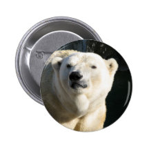 Polar Bear Pinback Button