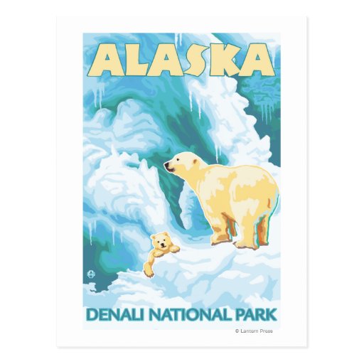 Polar Bears & Cub - Denali National Park, Alaska Post Cards