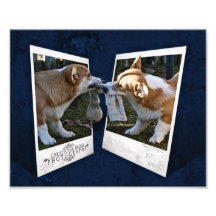 Polaroids Photographic Print