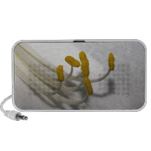 pollen mini speakers