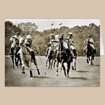 Polo Horses Galloping cards