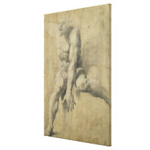 Polyphemus Gallery Wrap Canvas