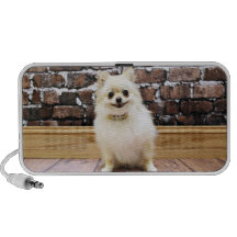 Pomeranian - Abby Vanity Collar Mp3 Speaker