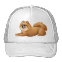 Pomeranian Baseball Hat