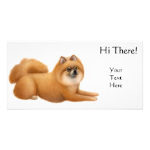 Pomeranian Dog Photo Card