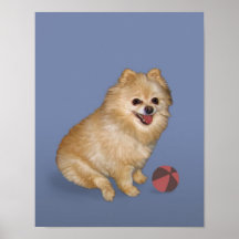 Pomeranian Dog with Ball Poster