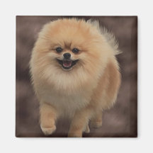 Pomeranian Fridge Magnets