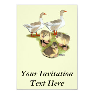buff pomeranian geese buff geese invitation templates 12 buff geese invitations buff pomeranian geese buff geese invitation templates 12 buff geese invitations
