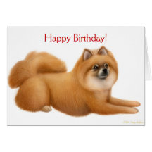 Pomeranian Happy Birthday Card