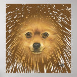 Pomeranian Print