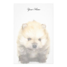 Pomeranian puppy stationary stationery