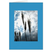 Pompass Grass Card