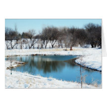Pond at Bird Sanctuary Cards