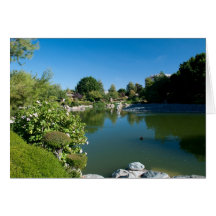 Pond card