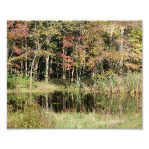 Pond Glory - 10x8 - Photographic Print