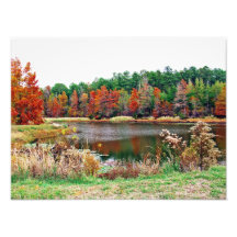 Pond in Autumn Photo