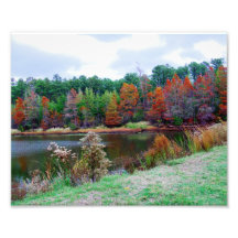 Pond in fall Photo