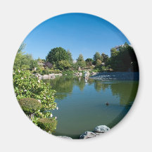 Pond magnet