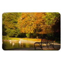 Pond Magnets