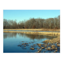 Pond Post Card