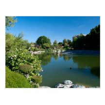 Pond postcard